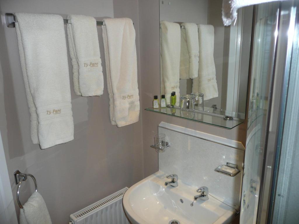 Ty-Parc Hotel Cardigan Buitenkant foto